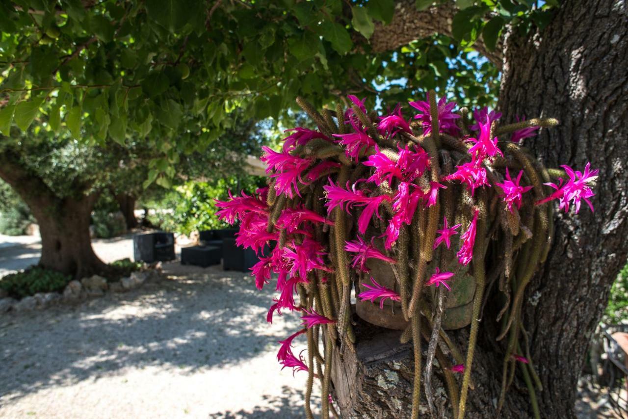 Agriturismo Grotta Di Figazzano Чистернино Экстерьер фото
